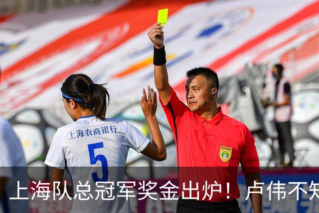 上海队总冠军奖金出炉！卢伟不知道怎么分，张镇麟和王哲林谁多